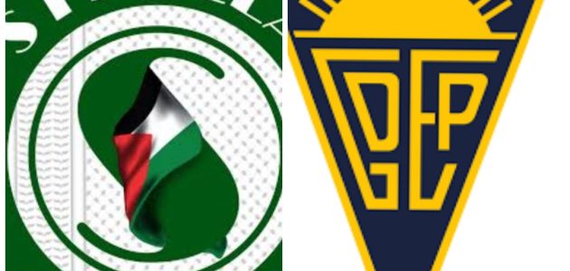 موعد مباراه بين استوريل برايا واستريلا 11/8/2025