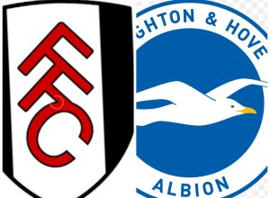 موعد مباراه بين برايتون وفولهام 16/8/2025