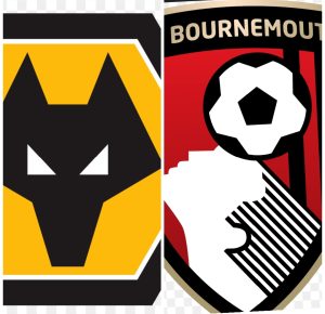 موعد مباراه بين بورنموث و وولفرهامبتون 23/8/2025