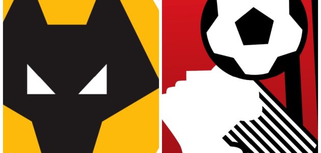 موعد مباراه بين بورنموث و وولفرهامبتون 23/8/2025