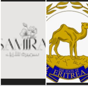 موعد مباراه بين المجر و ايريندا والمجر 9/6/2025