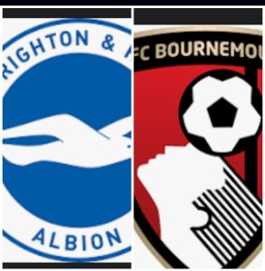 موعد مباراه بين بورنموث وبرايتون 13/9/2025